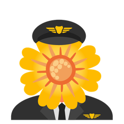 blossom and airplane