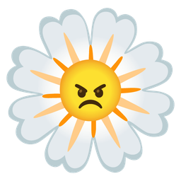 blossom and angry face