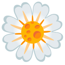 blossom and cheese wedge