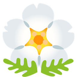 blossom and cherry blossom