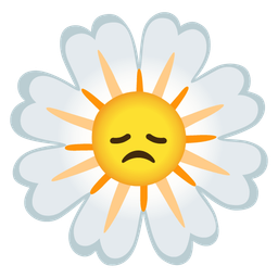 blossom and disappointed face