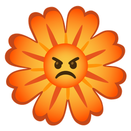 blossom and enraged face