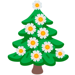 blossom and evergreen tree