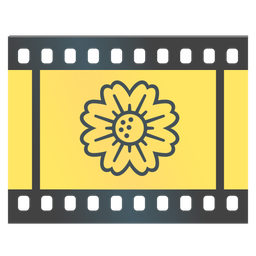 blossom and film frames