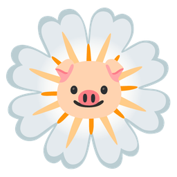 blossom and pig face
