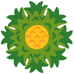 blossom and pineapple