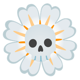 blossom and skull