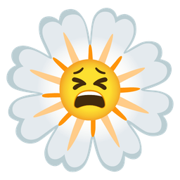 blossom and tired face