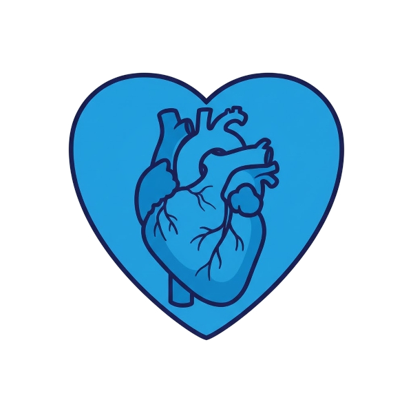 Blue heart and Anatomical heart