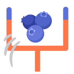 blueberries and american football