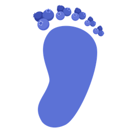 blueberries and footprints