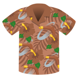 boomerang and hibiscus