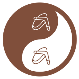 boomerang and yin yang