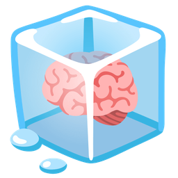 brain and ice