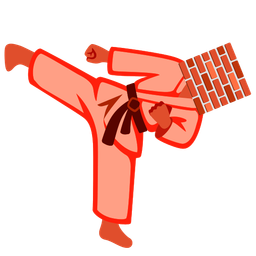 Brick and Martial arts uniform