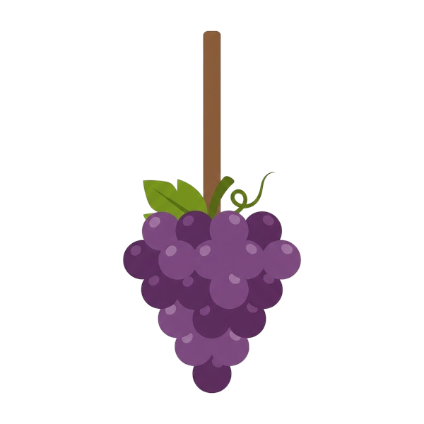Broom and Grapes