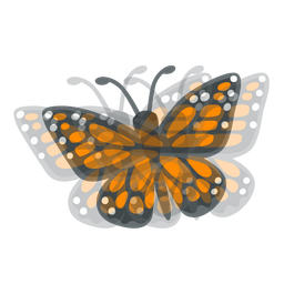 butterfly and beating heart