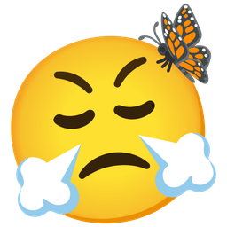 butterfly and face with steam from nose