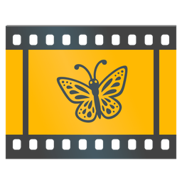 butterfly and film frames