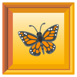 butterfly and framed picture