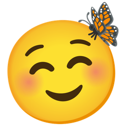 Butterfly and Smiling face