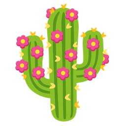 cactus and bouquet
