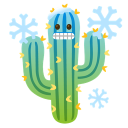 cactus and cold face