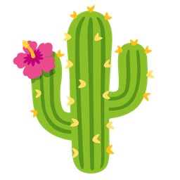 cactus and hibiscus