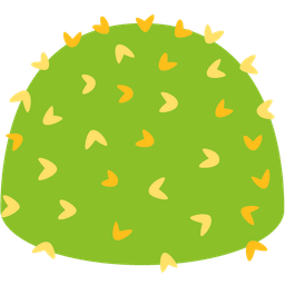 cactus and magic wand