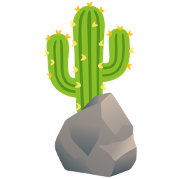 cactus and rock