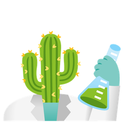 cactus and test tube
