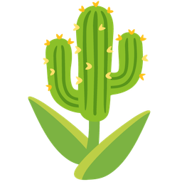 cactus and tulip