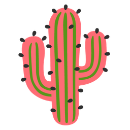 cactus and watermelon