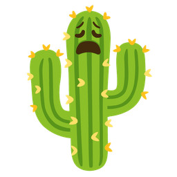 cactus and weary face