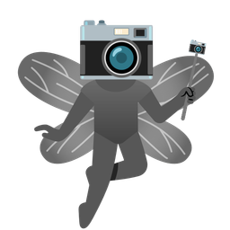 Camera and Butterfly