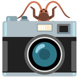 Camera and Cockroach