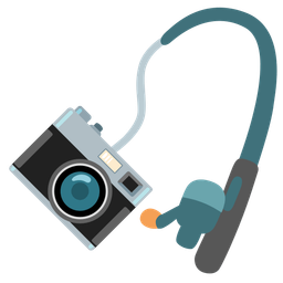 Camera and Fishing pole