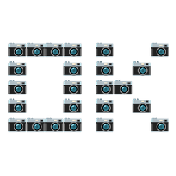 Camera and OK button