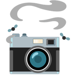 Camera and Pile of poo