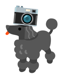 Camera and Poodle