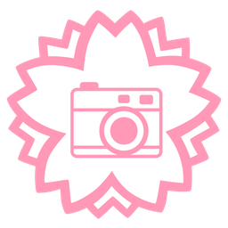 Camera and White flower