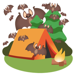 Camping and Bat