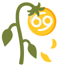 Cancer and wilted flower