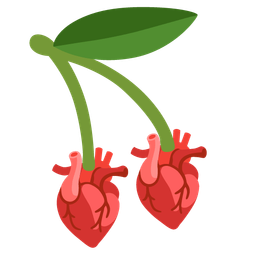 cherries and anatomical heart