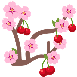 cherries and cherry blossom