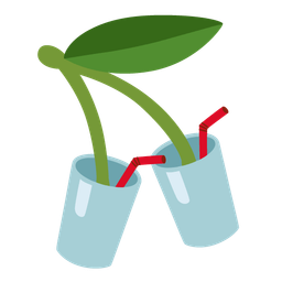 cherries and cup with straw