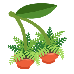 cherries and potted plant