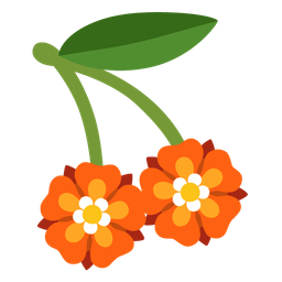 cherries and rosette