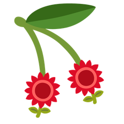 cherries and sunflower