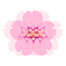 cherry blossom and beating heart